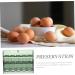 Egg Storage Box Fridge Eggs Egg Container for Refrigerator Egg Preservation Holder Household Crisper 25.2X19.5CM As Shown 1 - Buy Online on GoSupps.com
