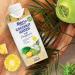 Boho Chax Pineapple Coconut Water 11.16 fl oz (12-Pack) - Natural Hydration with Vitamins & Electrolytes - Buy Online on GoSupps.com