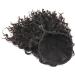 Ponytail Extensions 10 Inch Short Ponytail Hair Extension Deep Wavy Curly Drawstring Ponytail Hairpieces Heat Resistant Synthetic Curly Ponytail Extension for Women for Women(Color:30C) - Buy Online on GoSupps.com