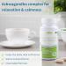 Stress Support Supplement with Ashwagandha, L-Theanine, KSM-66, Magnesium, Zinc & B-Vitamins | Clean Label Vegan Formula | 30 Servings - Buy Online on GoSupps.com