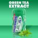 Mentos Pure Fresh Sugar-Free Chewing Gum with Xylitol Spearmint 50 Piece Bottle (Pack of 6) - Buy Online on GoSupps.com