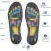 Kadimendium Magnetic Insoles for Pain Relief & Massage | Skin-Friendly Acupressure Shoe Inserts for Flat Feet - Washable for Men & Women (M Code) - Buy Online on GoSupps.com