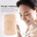 Facial Sponge Portable Face Wash Sponge for Home - Buy Online on GoSupps.com