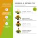 Creano 4 Tea Flowers Gift Box - Premium White & Green Tea Cup Set for International Shipping - Buy Online on GoSupps.com