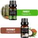 Organic Holiday Breeze Scent Gift Set - 6pc Essential Oils for Candle Making, Soap, Slime - Aromatherapy & Car Freshener - 10mL, 6-Pack - Buy Online on GoSupps.com