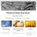 Deep Sea Mud Body Wash - Exfoliating & Moisturizing Shower Gel with Rich Ocean Minerals for Healthy Skin - Buy Online on GoSupps.com