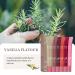 Summer Lip Butter 2024 | Nourishing Lip Balm & Conditioning Mask for Instant Moisture | Sheer Tinted Hydration | Soothing Lip Care (1PCS) - International Shipping Available - Buy Online on GoSupps.com