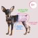 Shop High-Quality Disposable Pet Dog Diapers - 50 Pack for Dogs & Cats | Adjustable Fit & High-Suction Design - Buy Online on GoSupps.com