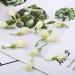Jasmine tea 3.52 ounces/100g Caffeine-free Dried jasmine flowers are suitable for making tea Whole bud of edible flowers Jasmine bud jasmine tea loose leaf - Buy Online on GoSupps.com