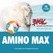 Amino Max (1 Kg) - Buy Online on GoSupps.com