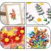LOKUNN Paper Quilling Tools Kit with Slotted Tool, Ruler, Awl, and Tweezer - DIY Art Supplies for Gift Card Making - Buy Online on GoSupps.com
