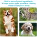 Pet Joint Drops for External Use Glucosamine for Cats & Dogs - Cat Hip and Joint Liquid Topical - Buy Online on GoSupps.com