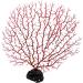 QUETHEDS Faux Coral D cor Artificial Coral Branch D cor Sea Fan Coral Decorations Aquariums Ornament Fish Tanks Landscape Sea Fan Coral Decorations Black Small - Buy Online on GoSupps.com