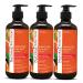 Natural Solution Body Wash, Formulated with Organic Blood Orange Extracts with Himalayan Pink Salt, Revitalizes & Refreshing Your Skin, 17 fl oz/Each Pack of 3 Orange 17 Fl Oz (Pack of 3)