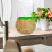 500ml Aroma Diffuser for Essential Oils - 10 Oils Included Noiseless 23dB BPA-Free 7 LED Colors 4 Timers & Auto Shutoff - Perfect for Home & Wellness - Buy Online on GoSupps.com