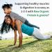 Organic Vanilla Protein & Greens Powder - Vegan, Dairy & Gluten Free - 10ct Tray - Buy Online on GoSupps.com