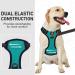 Dociote Anti-Zug Dog Harness - No Pull with Handle & Reflector Strip | Safety Harness for Medium & Large Dogs | L Turquoise (1 Pack) - Buy Online on GoSupps.com