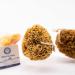 Jordan Benedict Natural Sea Sponge - XXL for Bath and Shower - Pack of 1 - Buy Online on GoSupps.com