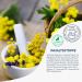 Frei l Hydrolipid Lip Balm for Dry & Chapped Lips - Vegan with Jojoba Oil & Vitamin E - 8 ml | Best Lip Care Solution - Buy Online on GoSupps.com