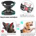 Heele Dog Crockery & Adjustable Reflective Harness - Lockable Dog Running Harness for All Sizes - Buy Online on GoSupps.com