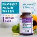 New Chapter Vegan Prenatal Omega-3 Supplement - 30 Vegan Softgels - Buy Online on GoSupps.com