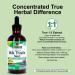 Nature's Answer Milk Thistle Extract - Alcohol Free Non GMO Liver Support Supplement for Everyone - Liver Detox Made in USA (4 Ounce) - Buy Online on GoSupps.com
