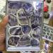 Natural Quartz Crystal Rough Gemstones and Minerals Raw Stones as Gifts Beautiful (Color : Blue Barite) - Buy Online on GoSupps.com