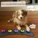 Buyvikay Set of 5 Color Dog Buttons with Rubber Mat - Communicate with Your Pet! Dog Speaking Buttons & 50 Stickers for Training - Buy Online on GoSupps.com