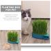 Buy Buguuyo 3 Series Cat Grass Box with Catnip - Perfect Plastic Plant Planters for Pets - Buy Online on GoSupps.com