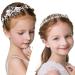 2 Pieces Wedding Flower Crown Princess Wedding Headpiece Communion Veil Crystal Hair Pieces Tiara for Girls Wedding and Flower Girls