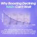 Rasav NAD Supplement 10-in-1 Extra Strength NAD Resveratrol with CoQ10 Urolithin A Green Tea Extract & ALA NMN Supplement Alternative for Women & Men - Buy Online on GoSupps.com