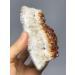 1PC 1PC Natural RAW Citrine Quartz Yellow Quartz Standard Room Decoration (Size : 50-100g) (Size : 1 Count (Pack of 1)) - Buy Online on GoSupps.com