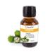 GreatVita 100% Pure Cold-Pressed Castor Oil - 100 ml | Premium Quality & Native Ph. Eur - Shop Internationally - Buy Online on GoSupps.com
