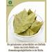 Buy Premium Organic Bay Leaves 75g | Handpicked Dried Bay Leaves | OmVeda - International Shipping Available - Buy Online on GoSupps.com