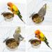 2Pcs Parrot Food Water Bowls Bird Feeding Dish Cups Set Stainless Steel Pet Hanging Bowl Bird Cage Water Bowl with Clamp for Small Animal Parrot Cockatiel Conure Budgies Parakeet Lovebird Chinchilla - Buy Online on GoSupps.com