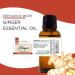 Ginger 4 fl oz (118 ml) Glass Bottle w/Cap 100% Pure Essential Oil GreenHealth - Buy Online on GoSupps.com