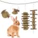 tiopeia 2 Pack Bunny Chew Toys for Teeth Molar Rabbit Toys Hamster Chew Toys Sticks Pet Chew Toy for Rabbits Chinchillas Hamsters Chewing or Playing - Buy Online on GoSupps.com