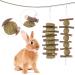tiopeia 2 Pack Bunny Chew Toys for Teeth Molar Rabbit Toys Hamster Chew Toys Sticks Pet Chew Toy for Rabbits Chinchillas Hamsters Chewing or Playing
