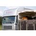 KaiserRein Trailer Cleaner 1L - Odor Absorbing Horse Trailer & Transporter Cleaner | International Shipping Available - Buy Online on GoSupps.com