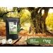 Olive Leaf Extract 20% Oleuropein | 120 Vegan Capsules 400mg | No Additives | Lab Tested | Made in Germany - Buy Online on GoSupps.com