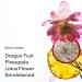 PHLUR Dragon Fruit Body Mist - Hair & Body Mist for Women & Men Fragrance - Dragon Fruit Peony Sandalwood & Vanilla Body Spray (8 Fl Oz) - Buy Online on GoSupps.com