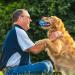 Fonpoo Super Elegant Dog Ball - Indestructible Interactive Water Toy for Small & Medium Dogs - Durable Pet Toy in Yellow & Blue - Buy Online on GoSupps.com