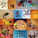 M MAXIMUMCATCH Maxcatch 100PC/LOT Tungsten Fly Tying Beads Head for Nymph Fishing Materials 10 Colors Color Assortment C - 3.8mm(5/32'') - 100PCS - Buy Online on GoSupps.com