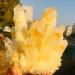 Natural Yellow Phantom Quartz Crystal Cluster Specimen Crystal Stone Crystal Cluster (Size : 200-250g) - Buy Online on GoSupps.com