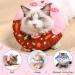 Halinuia Soft Anti-Bite Cat Collar - 2 Piece Donut Design for Kittens & Puppies | Protective Post-Surgery Care - Buy Online on GoSupps.com