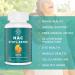 N-Acetyl Cysteine Ethyl Ester 100mg with Glycine 600mg | Enhanced Bioavailability, Immune Support & Antioxidant | NACET 60 Capsules - Buy Online on GoSupps.com