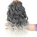 Goddess Box Braids Crochet Braids Hair Silver Grey Curly Braids Synthetic Premium Fiber Braiding Hair 14 Inch 5Packs/Lot (14inch, TGrey) 14 Inch (Pack of 5) Tgrey#