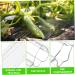 4pcs Shaped Growth Mold Fruit Molds Cucumber Shaping Heart Fruit Growth Mold Pumpkin Molds for Cucumber Molds for Garden Cookie Decorating Tools Cucumbers Plastic Shaper Star Shape - Buy Online on GoSupps.com