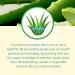 Aloe Life Whole Leaf Aloe Vera Juice Concentrate 32 oz | Organic Cherry Berry Flavor | Supports Digestion & Energy | Antioxidant Rich | Gluten-Free - Buy Online on GoSupps.com