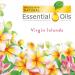 Air Wick Plug-In Scented Oil Refills Virgin Islands (2x0.67oz) | Essential Oils Air Freshener for Home - International Shipping Available - Buy Online on GoSupps.com